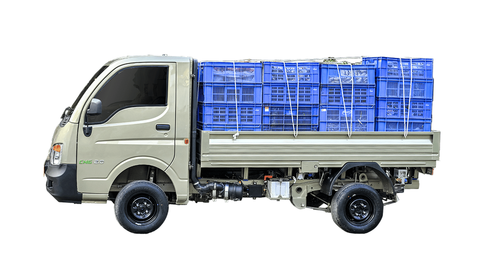 ACE Bio-Fuel - 01_2 (1)