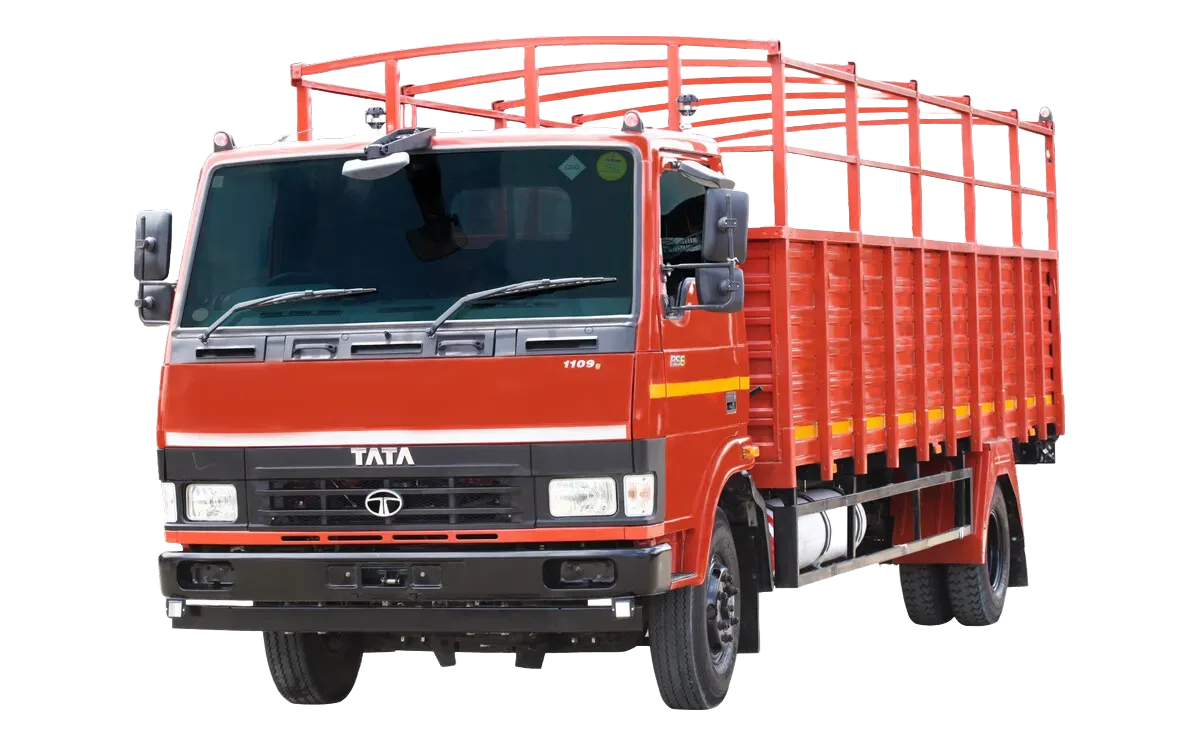 Adobe Express - file (12)