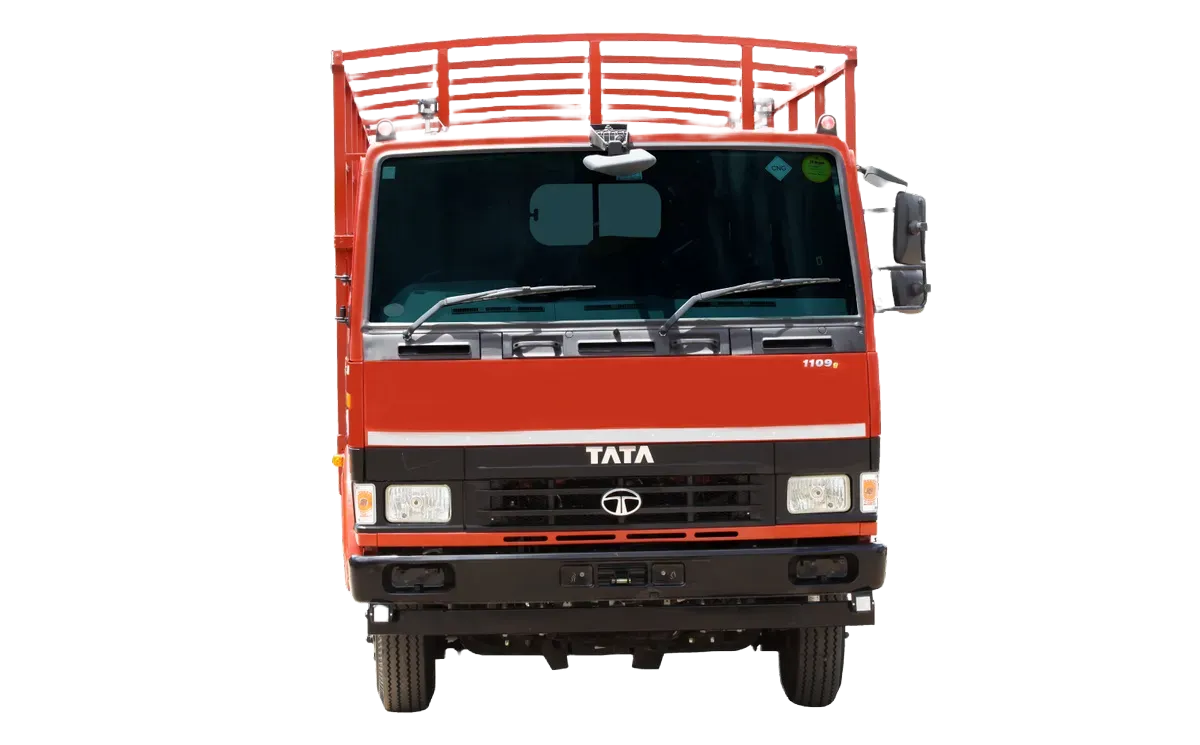 Adobe Express - file (13)