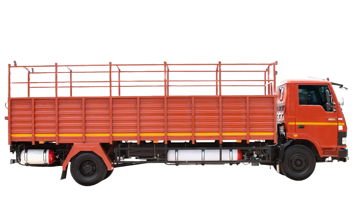 Adobe Express - file (14)