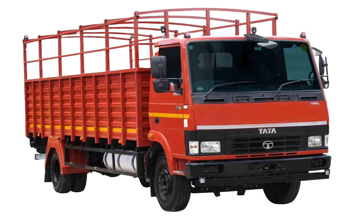 Adobe Express - file (15)